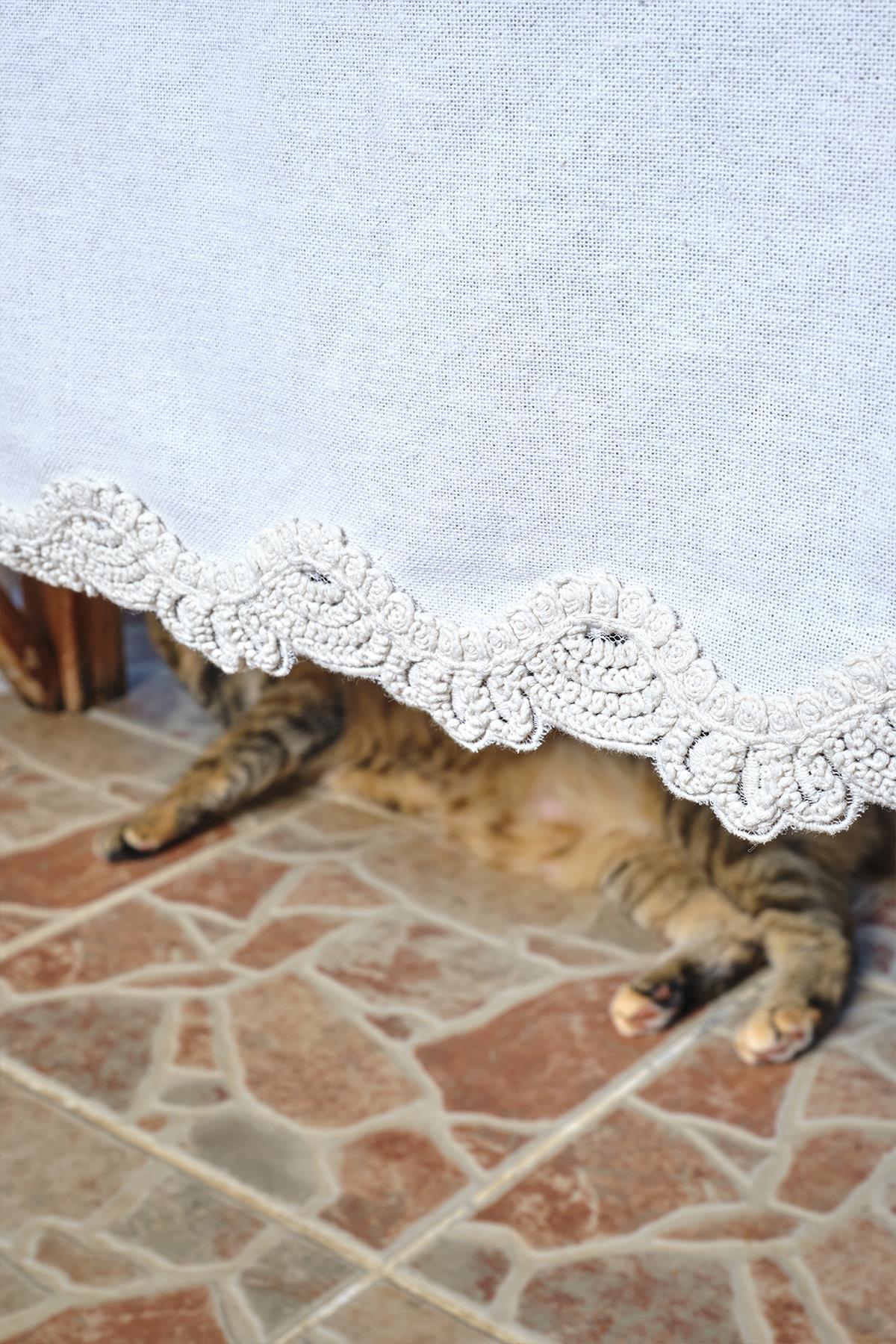 White tablecloth with lace trim, cat legs visible on a stone floor